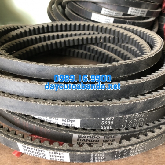BANDO RPF5980