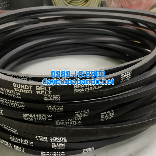 DÂY CUROA SUNDT SPA1107
