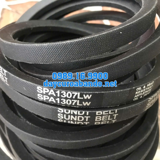 DÂY CUROA SUNDT SPA1307