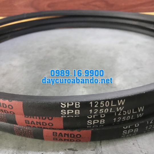 DÂY CUROA SPB1250