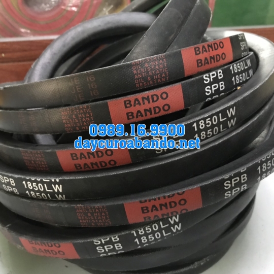 BANDO SPB