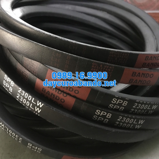 DÂY CUROA SPB2300