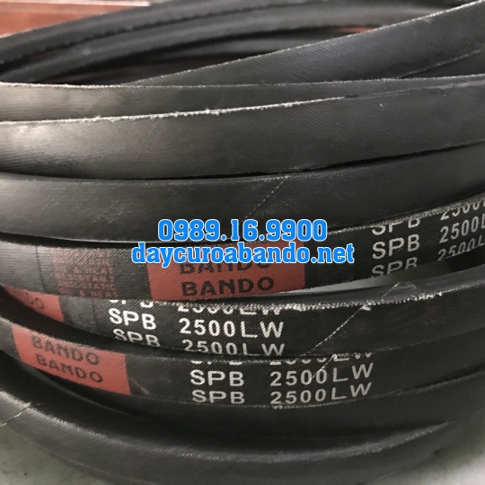 DÂY CUROA SPB2500