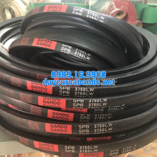 BANDO SPB3750
