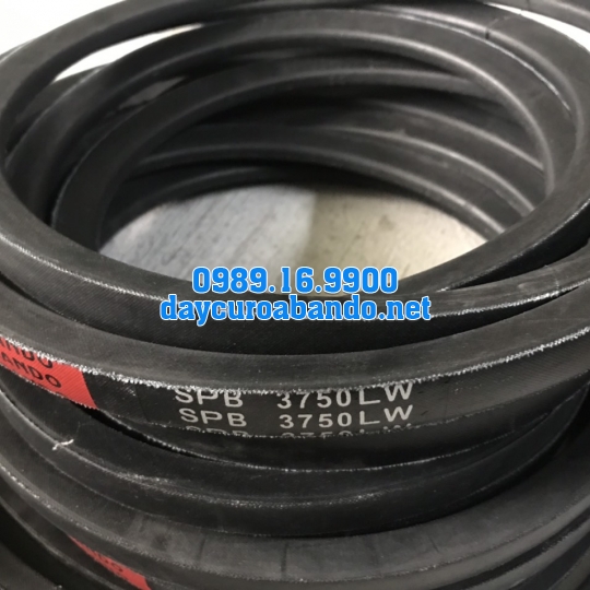 BANDO SPB3750