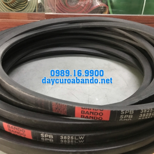 DÂY CUROA SPB3825