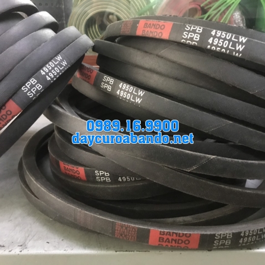 DÂY CUROA SPB4950