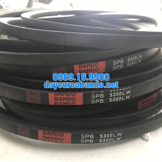 BANDO SPB5300