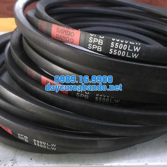 DÂY CUROA SPB5500