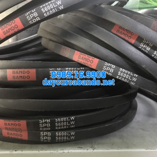 DÂY CUROA SPB5600