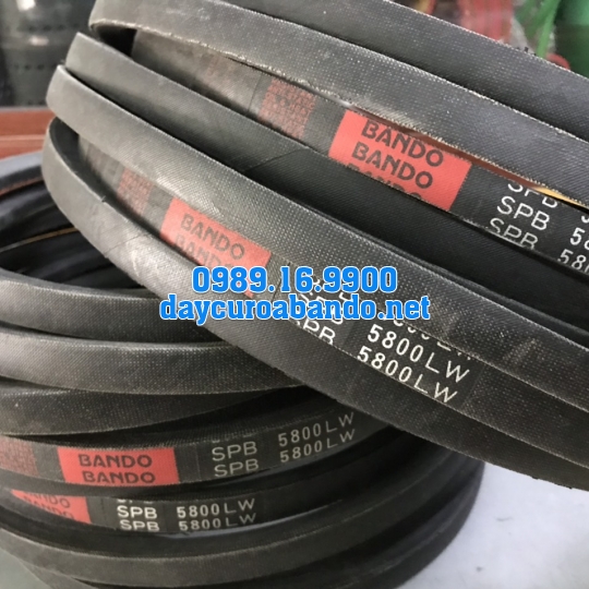 BANDO SPB5800
