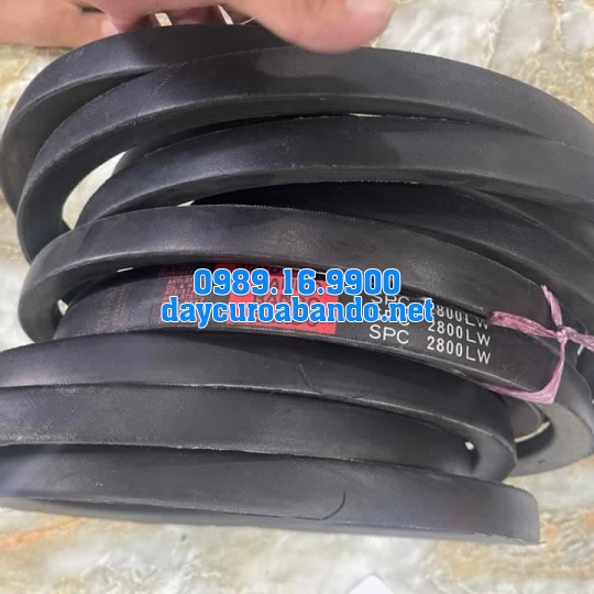 DÂY CUROA SPC2800