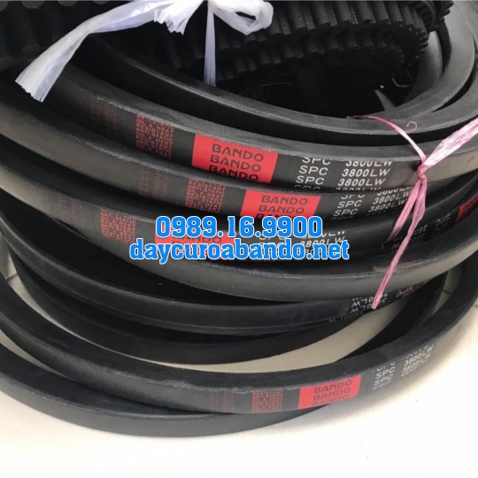 BANDO SPC3800