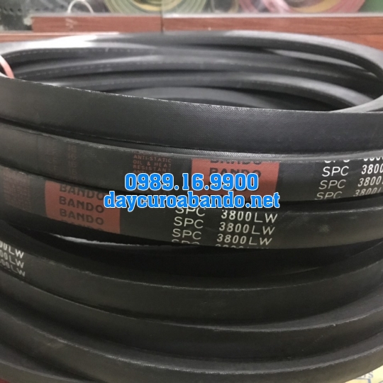 BANDO SPC3800