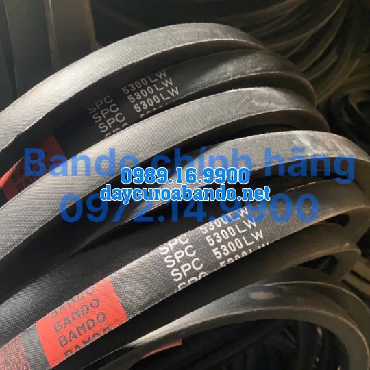 DÂY CUROA SPC5300