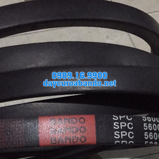 DÂY CUROA SPC5600
