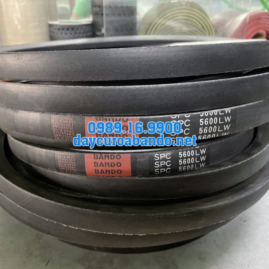DÂY CUROA SPC5600