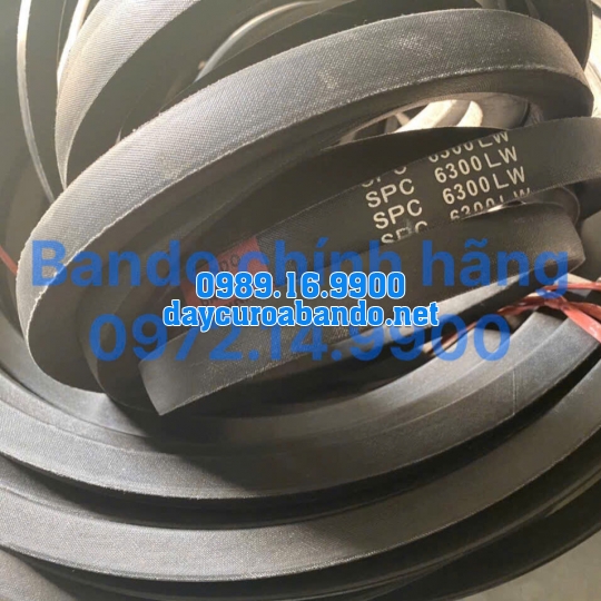 DÂY CUROA SPC6300