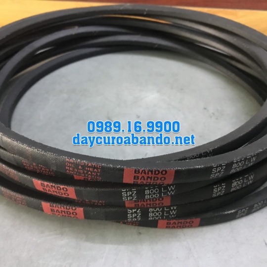 DÂY CUROA SPZ800