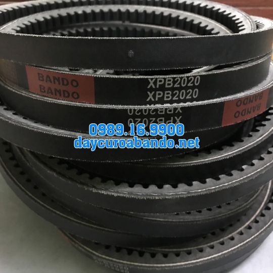 BANDO XPB2020