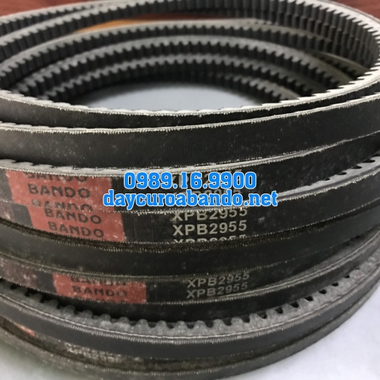 BANDO XPB2955