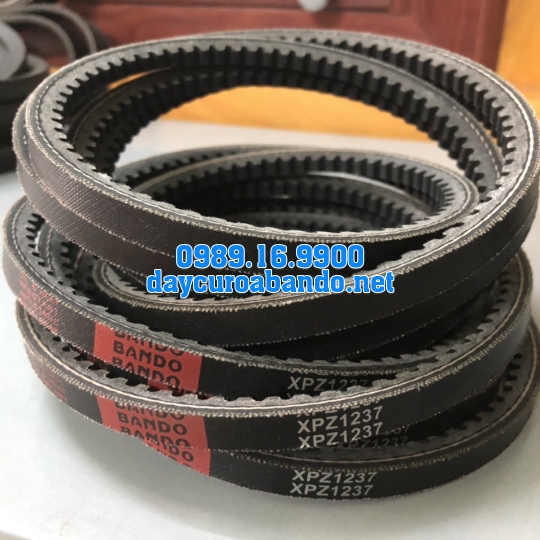 BANDO XPZ1237