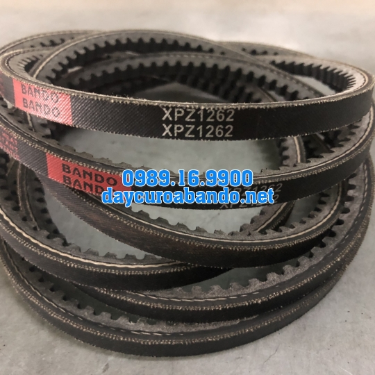 BANDO XPZ1262