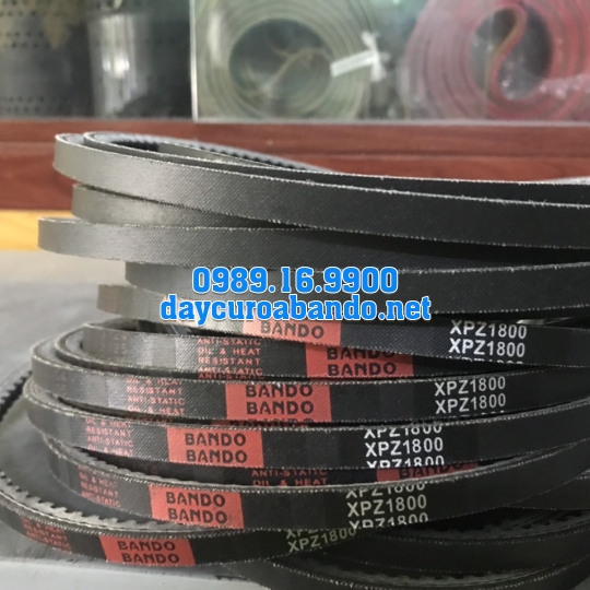 BANDO XPZ1800