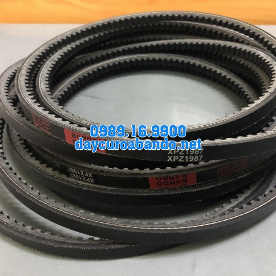 BANDO XPZ1987