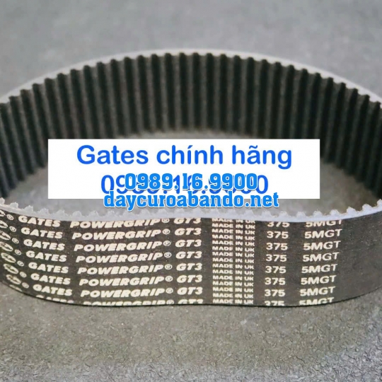 DÂY CUROA 5MGT GATES