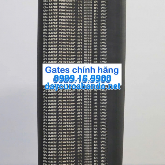 DÂY CUROA 5MGT GATES