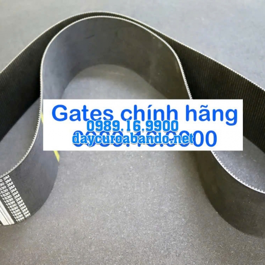 DÂY CUROA GATES 3M CHÍNH HÃNG