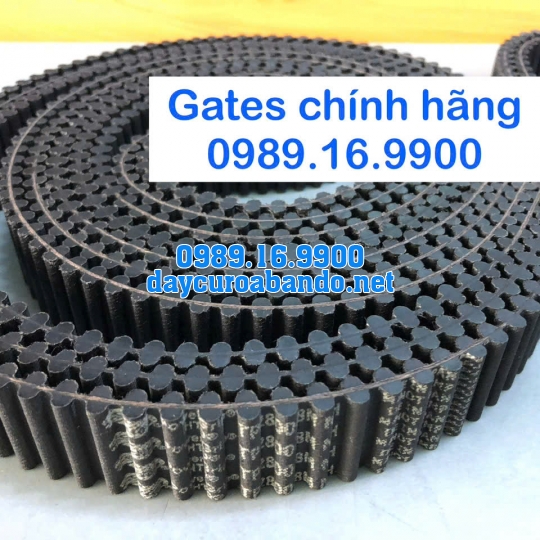 DÂY CUROA GATES TP8M-4400