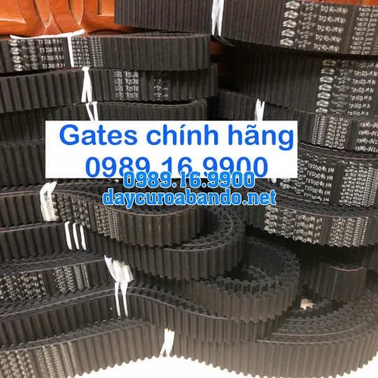 DÂY CUROA GATES TP8M-584