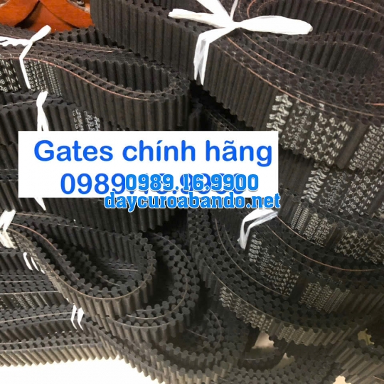 DÂY CUROA GATES TP8M-880